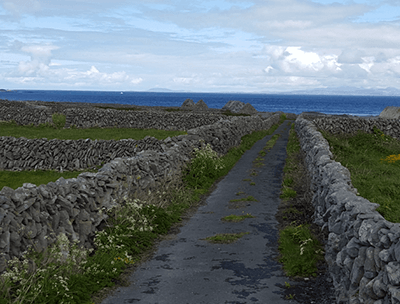 Weisheiten & Visionen Weisheiten & Visionen